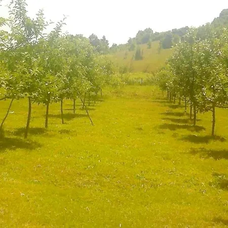 Seosko Domacinstvo Pecanin Daire *