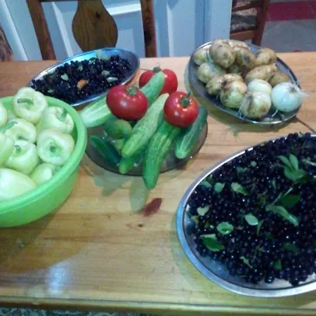 Seosko Domacinstvo Pecanin